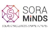 SoraMinds, LLC SoraMinds, LLC