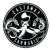 Castaway Cannabis Castaway Cannabis