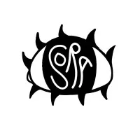Strother School of Radical Attention