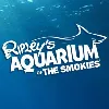 Ripley's Aquarium of the Smokies Ripley's Aquarium of the Smokies