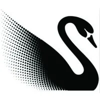 Black Swan PNG Black Swan PNG