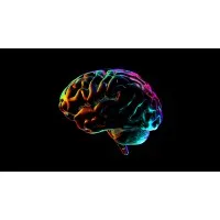 This Is How My Brain Works This Is How My Brain Works
