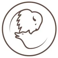 BISONWOLF LLC