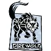 Dire Wolf Digital Dire Wolf Digital