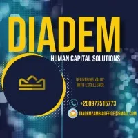 DIADEM HUMAN CAPITAL SOLUTIONS