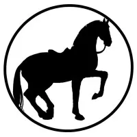 Classical Equitation