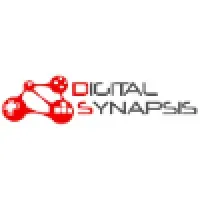 Digital Synapsis Digital Synapsis