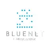 Blue Net Inc. Blue Net Inc.