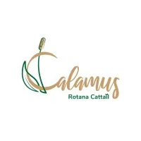 Calamus Rotana Cattail