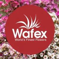 Wafex email format