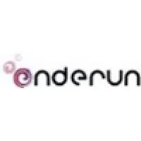 Enderun Information Technologies