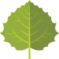 Aspen Grove Family Therapy