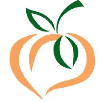 Georgia Community Foundation, Inc.