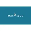 Borassus Infotech, Inc Borassus Infotech, Inc