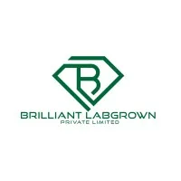 Brilliant Labgrown Private Limited Brilliant Labgrown Private Limited