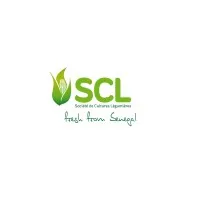 Société de Cultures Légumières (SCL)