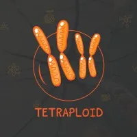 Tetraploid Team 