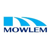 Mowlem International LTD
