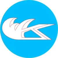 Wai Kong Fire Engineering Company Limited