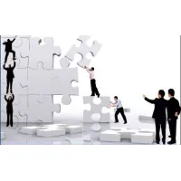 CONSULTANT & TRAINER