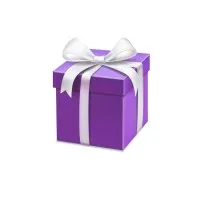 Disruptive Concepts Restaurant Group