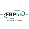 ERPtek Consulting Inc.