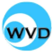 Web Vertical Domains