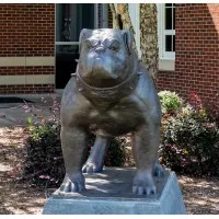 Pitt Community College