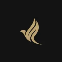 Avaz Management