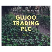GUJOO TRADING PLC