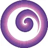 Spiral Holdings Spiral Holdings