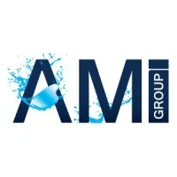 The AMI Group
