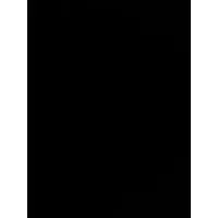 Void