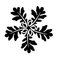 Oakflower Brewing Company