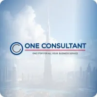 One Consultant