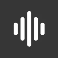 Soundwave Hearing, LLC