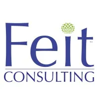 Feit Consulting