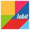 Labit Consulting (Pty) Ltd Labit Consulting (Pty) Ltd