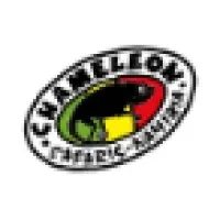 Chameleon Safaris Namibia