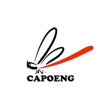 PT. Capoeng Digital Nusantara