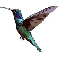 Alpine Bed and Breakfast