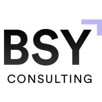 BSY Consulting pvt ltd