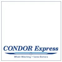 Condor Express Whale Watching Condor Express Whale Watching