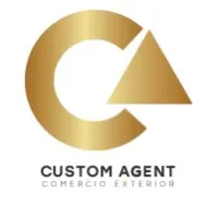 Custom Agent
