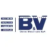 Buenos Vientos Obras Electricas SpA