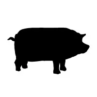 The Deli Inc. The Deli Inc.