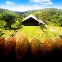 Fazenda Olhos D'água