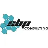 SBP CONSULTING, LLC SBP CONSULTING, LLC