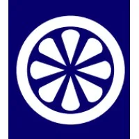 Dizzylemon-Marketing Agency