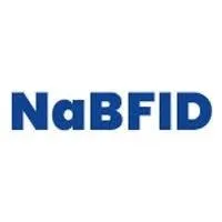 National Bank for Financing Infrastructure and Development